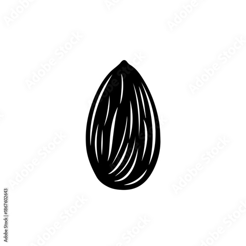 Single seed pod isolated on transparent background, Vector