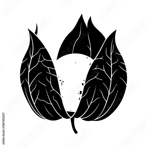 Intricate feather necklace design isolated on transparent background, Vector