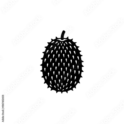 Single prickly fruit isolated on transparent background, Vector
