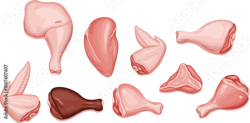 Set of Raw Chicken Meat Cuts Illustration, Fresh Poultry Parts Collection Vector for Butcher, Food Packaging, Cooking Design