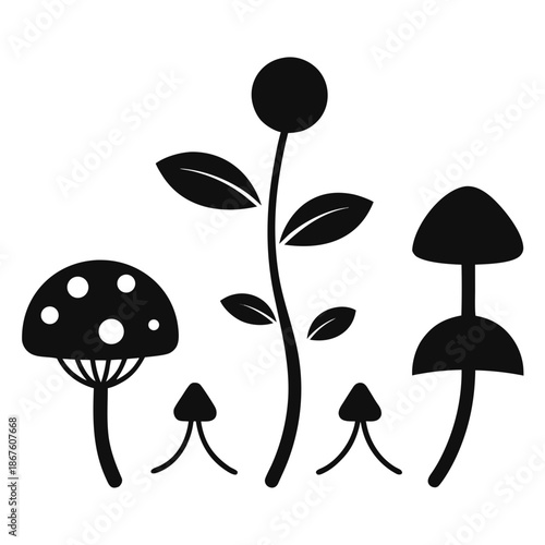 Title: Black and white of mushrooms and leaves growing from a single stem germination