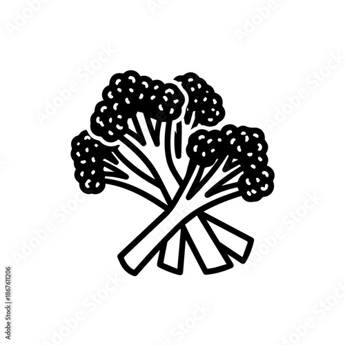 Illustration of broccoli isolated on transparent background, Vector