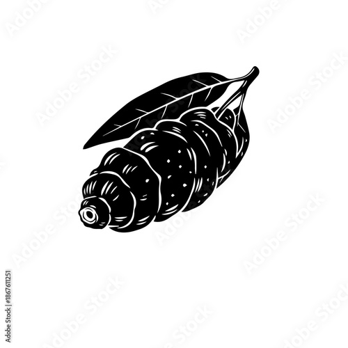 Silhouette of a flying bird isolated on transparent background, Vector