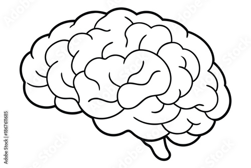 Anatomical Human Brain Silhouette, Black and White Vector Illustration for Medical and Science Education