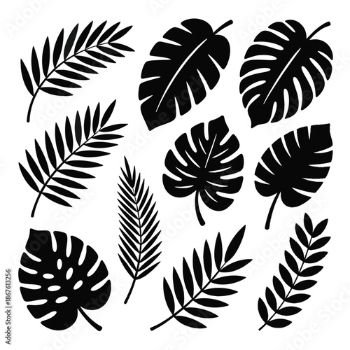 Botanical Black: Silhouette of tropical leaves. The intricate patterns of foliage capture the essence of nature's design. A perfect composition for nature themed design or environmental concepts.