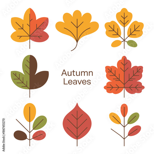 Autumn Leaves: A collection of various autumn leaves in warm hues of red, orange, and yellow, beautifully arranged against a clean backdrop. A perfect embodiment of nature's seasonal transition.