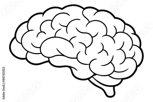 Vector art of a human brain suitable for medical diagrams, science textbooks and educational media.