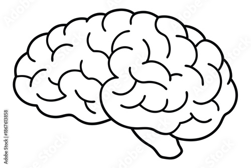 Human cerebral cortex illustration in a clean black and white vector style for medical research.