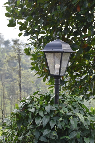 lantern in the park
