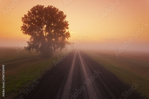 Fotografia backroad through farmland with aspen tree on the side