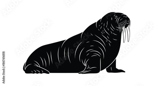 Black silhouette of a walrus lying down on , minimalist flat design isolated on white background
