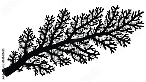 Black silhouette of a leaf with intricate branching veins isolated on white background