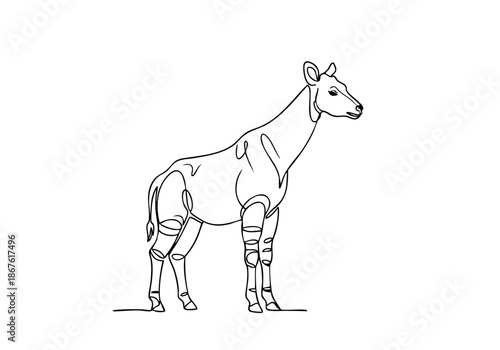 Minimalist continuous line art illustration of a unique Okapi, showcasing its distinctive striped legs and graceful forest form, an elegant wildlife graphic