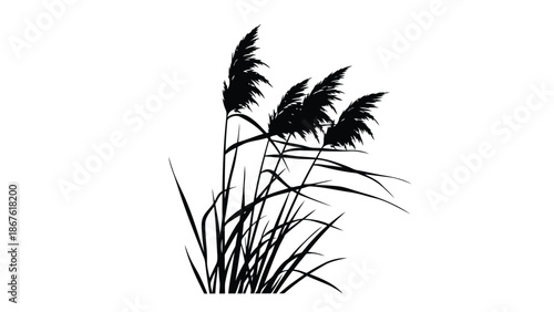 Black silhouette of cattails isolated on white background