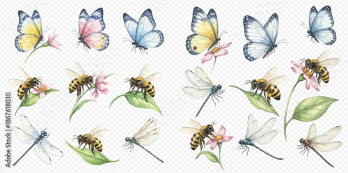 Watercolor collection of colorful butterflies, bees, dragonflies, and delicate flowers on a transparent background.