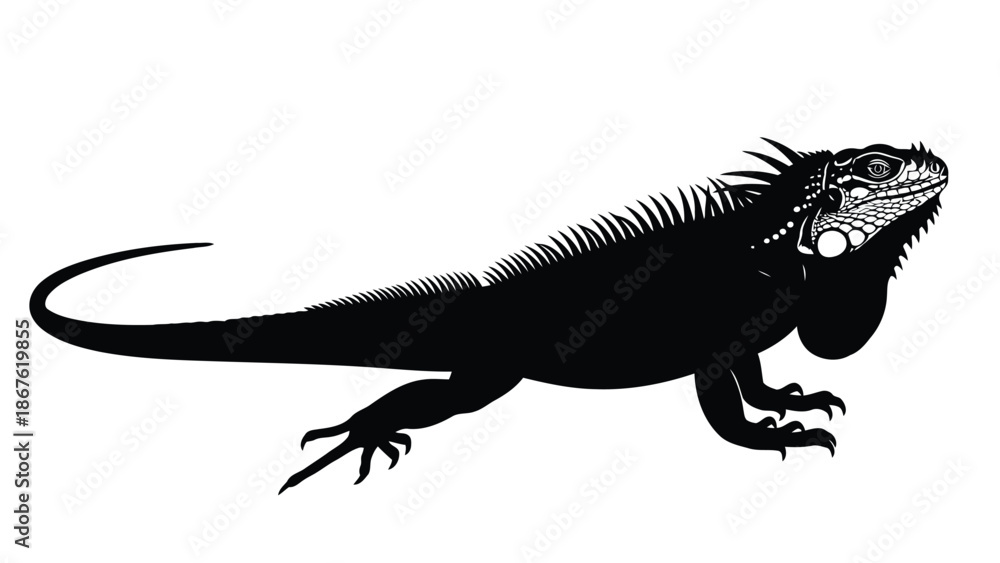 Fototapeta premium Black silhouette of an iguana reptile in profile against a isolated on white background