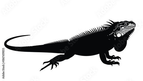 Black silhouette of an iguana reptile in profile against a isolated on white background
