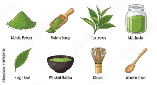 Illustrative depiction of matcha powder tea leaves and traditional japanese tools