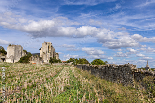 Billede på lærred Crissay sur Manse castle ruins dominating rural field landscape in France