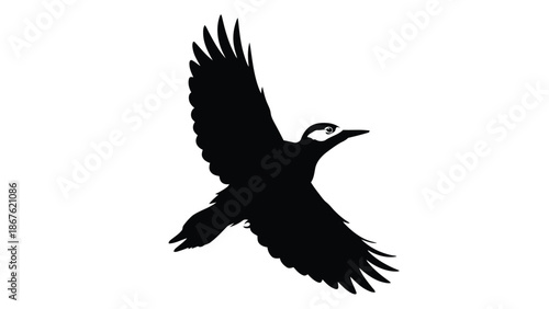 Black silhouette of an eagle in flight isolated on white background