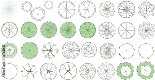 Set of architectural tree top view symbols for masterplan rendering, hand drawn vegetation icons with green accents for landscape design and site planning.