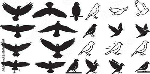 Vector silhouette icon set of bird wing motion actions showing wings down wings up gliding landing and perched flight movement illustration
