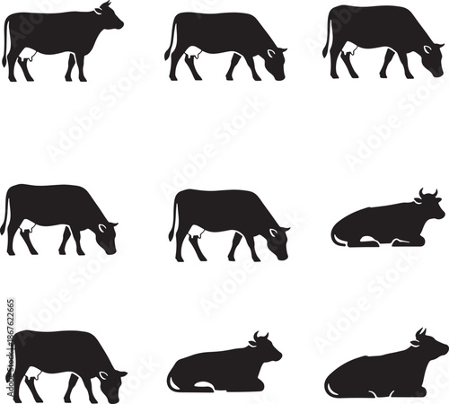 Silhouette icon set of cow farm animal poses showing standing walking grazing lying down and turning head livestock movement illustration