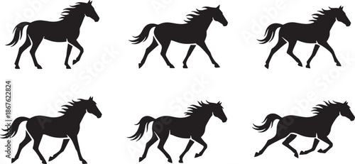 Vector silhouette icon set of horse movement poses showing standing walking trotting and galloping equine motion wildlife illustration