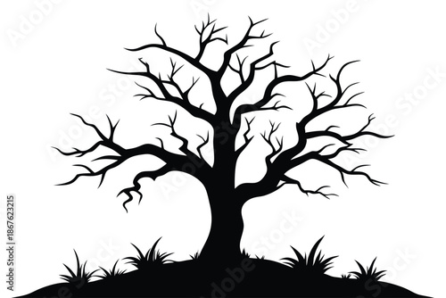 Isolated black and white image of a solitary dead tree, its branches reaching like bare arms on a plain white surface.