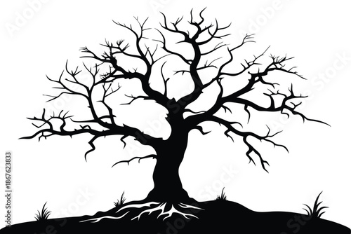 Elegant dead tree silhouette, striking black and white against a plain white background, evoking a sense of starkness and quiet contemplation.
