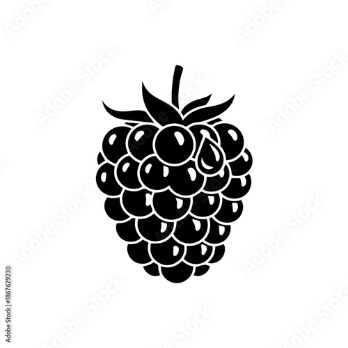 Black and white raspberry illustration isolated on transparent background, Vector