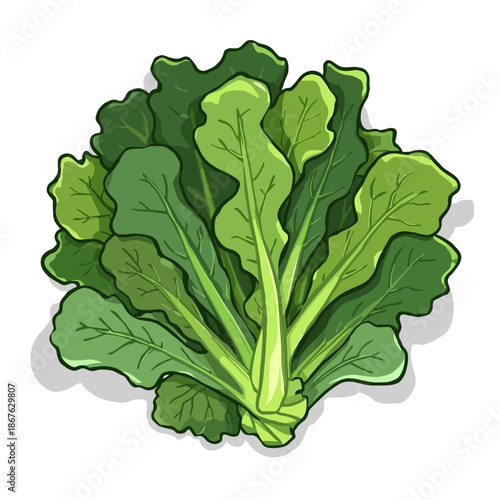 Delicious Salad Design Very Cool