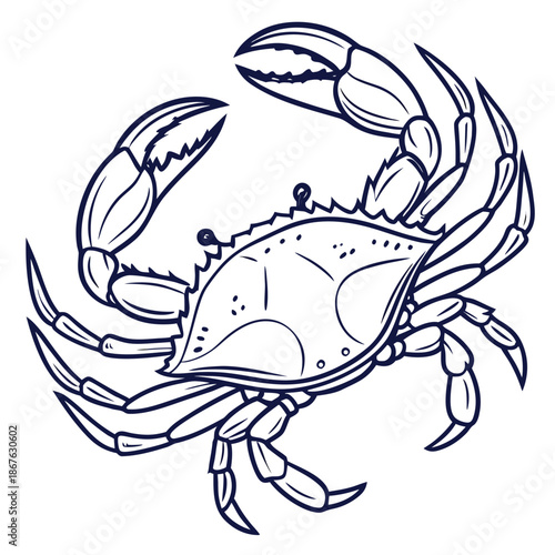 Minimal outline realistic blue crab vector illustration with clean thin strokes and accurate anatomy. Designed for modern logos, icons, packaging, tattoos, and editorial layouts. Simple, elegant.