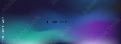 Abstract liquid background. Gradient mesh. Effect blend bright color. Blurred fluid colorful mix. Modern design template