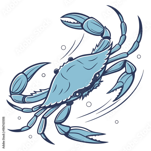 This high-quality, realistic blue crab vector illustration captures the vibrant colors and intricate details of the iconic Callinectes sapidus. Featuring the signature bright blue claws and mottled.