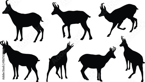 chamois, silhouette, mountain goat, animal, wildlife, vector, illustration, goat, mountain, nature, isolated, transparent, background, black, shape, graphic, design, element, mammal, ungulate, bovid, 