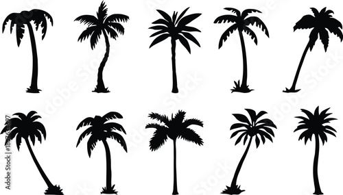 palm tree, silhouette, tree, tropical, summer, vacation, illustration, graphic, design, black, shape, collection, set, template, print, isolated, transparent, background, beach, nature, plant, leaves,