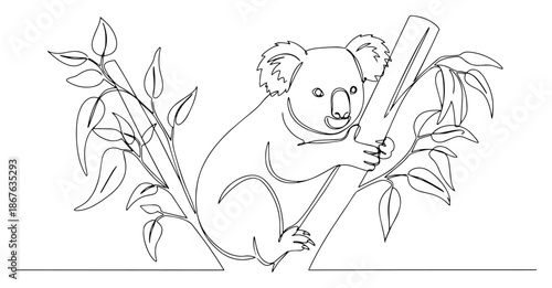 One line drawing of a cute koala climbing a eucalyptus tree