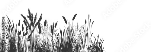 Reads on white background.