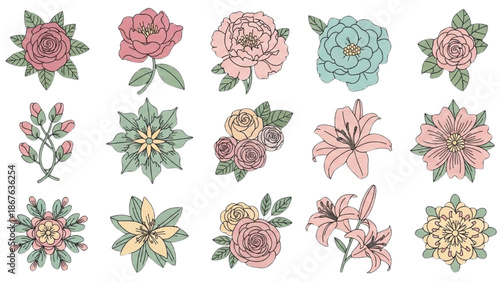 A collection of various flowers and plants illustrated in a soft color palette on a white background viewed from directly above.