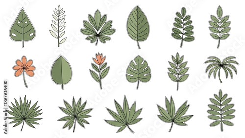 Collection of various illustrated leaves and plants on a white background
