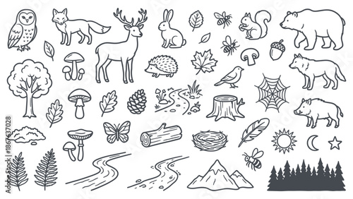 Illustrations of forest wildlife and elements in a serene natural environment