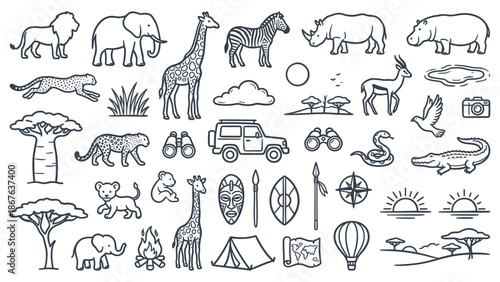 Wild animals and safari elements illustrations in a diverse collection