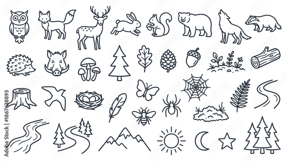 Fototapeta premium Illustrations of forest animals and plants in a serene natural environment