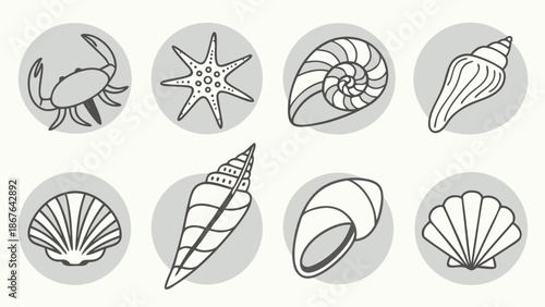 Ocean Beach Shell Collection Icons for Summer Travel Vacation Design Projects Coastal Themed Websites