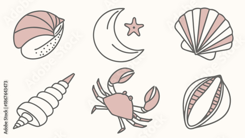 Minimalist Beach Vacation Icons Set Seashells Crab Moon Star for Summer Travel Web Design Graphics