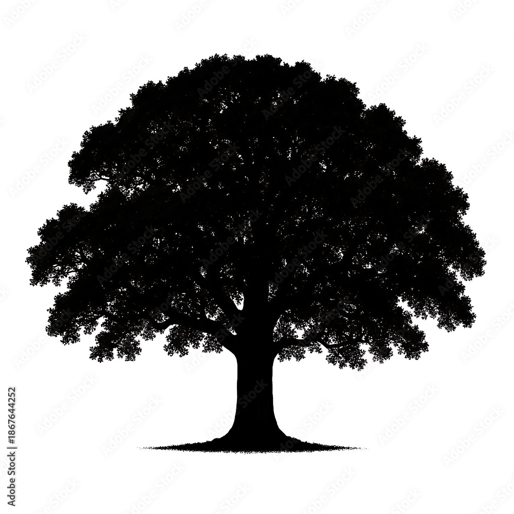 Fototapeta premium Vector silhouette of a single tree isolated on white background