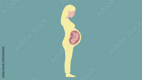 Minimalist illustration of a pregnant woman with fetus visible inside