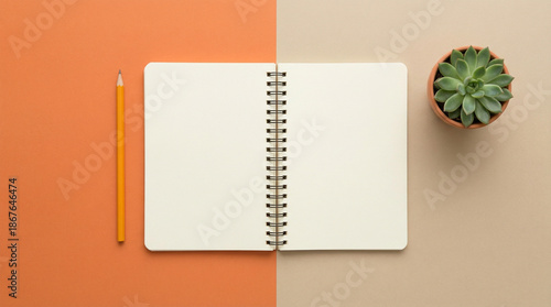 Above overhead close up flatlay view photo of clear spiral textbook with drawing pencil and succulent plant isolated half yellow and beige desk