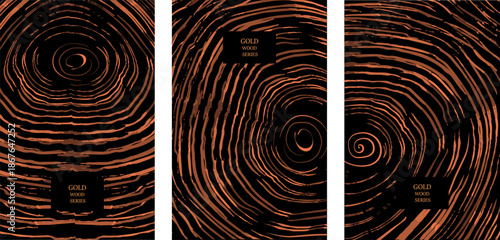  Elegant wood texture with golden rings and organic patterns. 